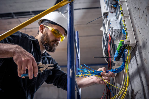Best Residential Electrician Services  in Mango, FL